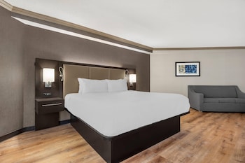 Suite, 1 King Bed with Sofa bed, Non Smoking