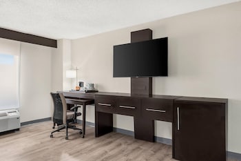 Suite, 1 King Bed with Sofa bed, Non Smoking