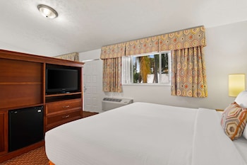 Standard Suite, 1 King Bed with Sofa bed, Non Smoking, Refrigerator (with Sofabed)