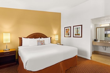Standard Suite, 1 King Bed with Sofa bed, Non Smoking (with Sofabed)