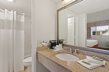 Standard Suite, 1 King Bed with Sofa bed, Non Smoking, Refrigerator (with Sofabed)