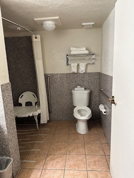 Room, 1 King Bed, Accessible, Non Smoking