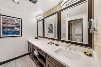 Suite, 1 King Bed, Non Smoking, Jetted Tub (with Sofabed)