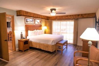 Room, 1 Bedroom, Kitchenette
