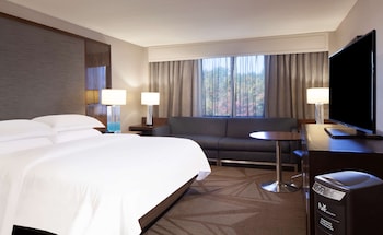 Room, 1 King Bed (Concierge Floor)
