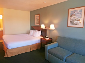 Room, 1 King Bed, Smoking