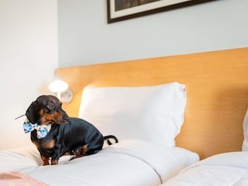 Standard Room, 2 Twin Beds