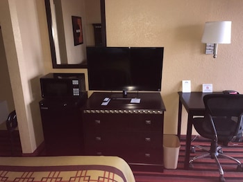 Room, 1 Double Bed, Accessible, Non Smoking (Roll-In Shower)