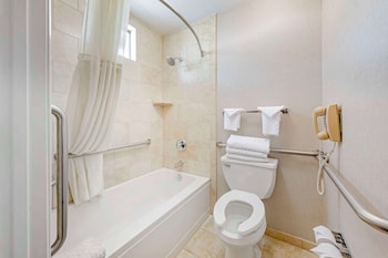 Standard Room, 1 King Bed, Accessible, Bathtub