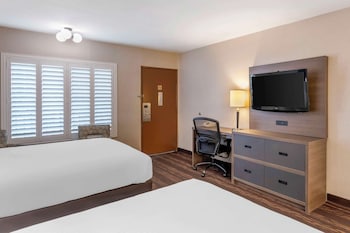 Standard Room, 2 Queen Beds, Non Smoking, Refrigerator & Microwave