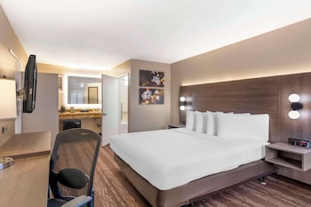 Standard Room, 1 Queen Bed, Accessible, Non Smoking