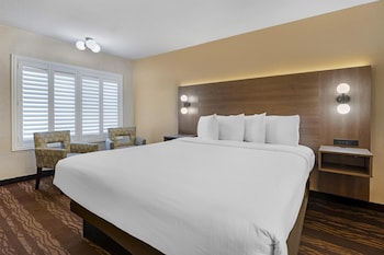Standard Room, 1 King Bed, Non Smoking, Refrigerator & Microwave (View)