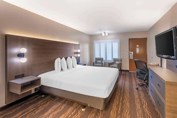 Standard Room, 1 Queen Bed, Accessible, Non Smoking