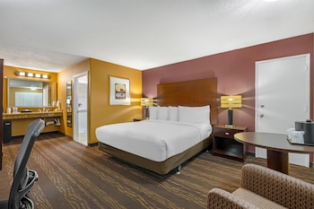 Standard Room, 1 King Bed, Non Smoking, Refrigerator & Microwave