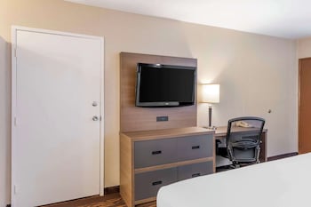 Standard Room, 1 King Bed, Non Smoking, Refrigerator & Microwave (View)