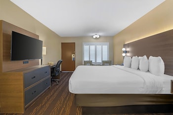Standard Room, 1 King Bed, Non Smoking, Refrigerator & Microwave (View)