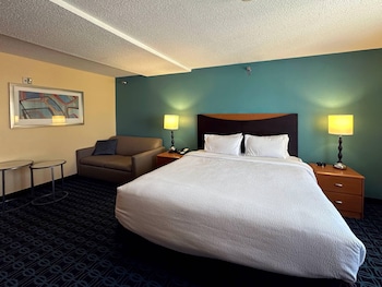 Suite, 1 King Bed with Sofa bed, Non Smoking