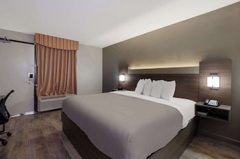 Standard Room, 1 King Bed, Non Smoking