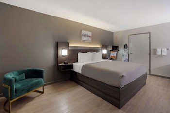 Room, 1 King Bed, Accessible, Non Smoking