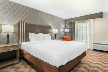 Standard Room, 1 King Bed, Non Smoking, Refrigerator & Microwave