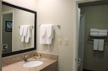 Standard Room, 1 King Bed, Non Smoking, Microwave (Oversized Room)