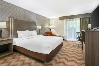 Standard Room, 1 King Bed, Accessible, Non Smoking (View)