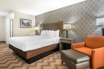 Standard Room, 1 King Bed, Non Smoking, Refrigerator & Microwave