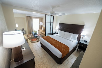 Superior Room, 1 King Bed