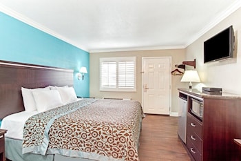 Room, 1 King Bed