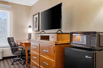 Room, 1 Queen Bed, Mobility Accessible, Non Smoking (Roll-In Shower)