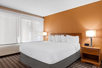Studio Suite, 1 King Bed, Non Smoking, Jetted Tub