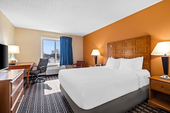 Room, 1 Queen Bed, Mobility Accessible, Non Smoking (Roll-In Shower)