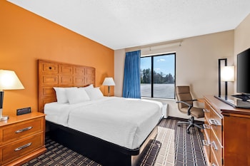 Room, 1 Queen Bed, Mobility Accessible, Non Smoking (Roll-In Shower)