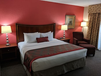 Standard Room, 1 King Bed, Accessible