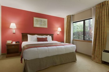 Suite, 1 King Bed