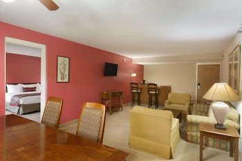 Suite, 1 King Bed