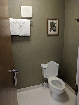 Standard Room, 1 King Bed, Accessible
