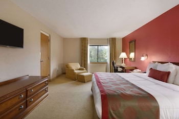 Suite, 1 King Bed