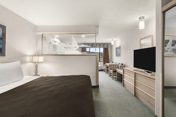 Suite, 1 King Bed, Non Smoking (Efficiency)