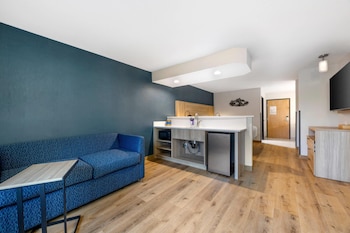 Suite, 1 King Bed, Non Smoking (Efficiency)