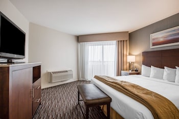 Standard Room, 1 King Bed, Accessible, Non Smoking (Roll-In Shower)