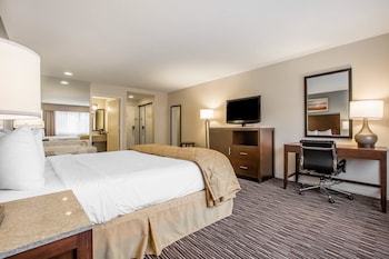 Standard Room, 1 King Bed, Accessible, Non Smoking (Roll-In Shower)