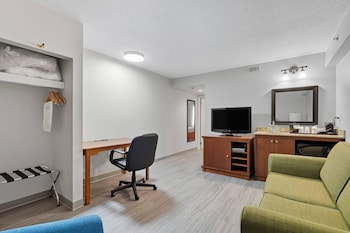 Suite, 1 Bedroom, Non Smoking