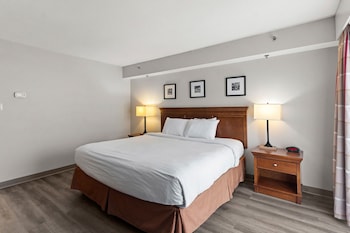 Suite, 1 Bedroom, Non Smoking