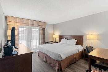Room, 1 King Bed, Non Smoking (Exterior Entrance)