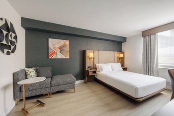 Standard Room, 1 King Bed, Accessible (Roll-In Shower)