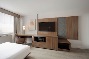 Standard Room, 1 King Bed, Accessible (Roll-In Shower)