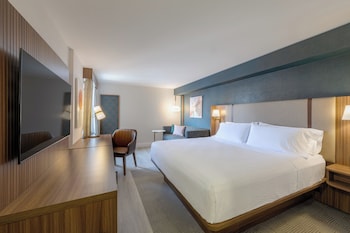 Standard Room, 1 King Bed with Sofa bed