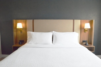 Standard Room, 1 King Bed with Sofa bed