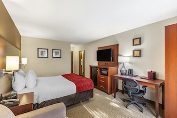 Standard Room, 1 Queen Bed with Sofa bed